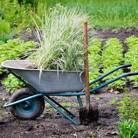 ���������� ���� �� ��������� ������ ����������� � ��� ��������� ���������