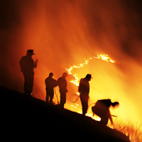 Россия может отказаться от тушения лесных пожаров в удаленных местностях