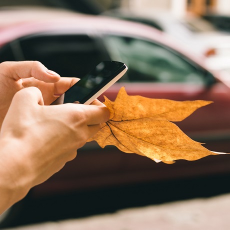 ������������ ���������� ������� ����� ��������������� �� ������ �������� �� ��������