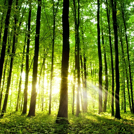 ��������� ����� �������� �������������� �������� ����������� ��������� �������� �� ���� ����� ���� (����� ������������ ������)