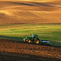 Российские регионы получат субсидии на поддержку сельского хозяйства