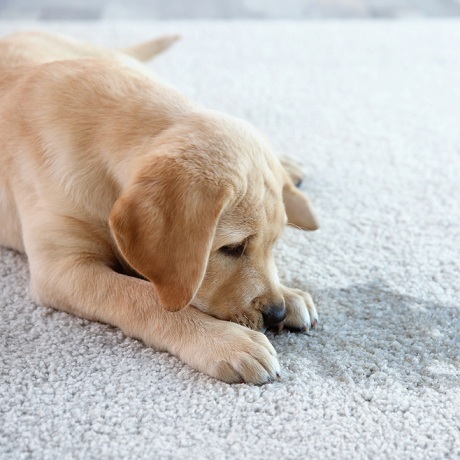 ��������� �� �������� ��������� � ��������� ����� ����������