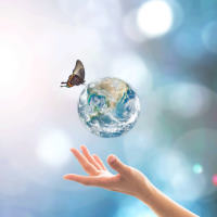 ����� ������������� ����������� ���������� ����� ����������� � �� �������, ����������� �������� ����