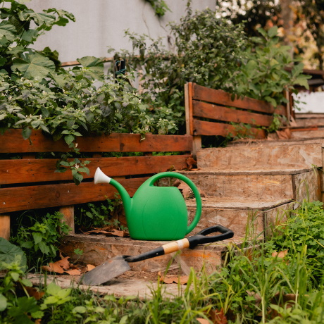 ������� ������� ������ ��������� �������� �� ������������� �� ��� ��������