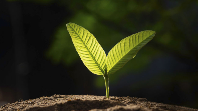 ������������ ����������: ��� ������ ��� ����������� �������� � �������� ��������� �����