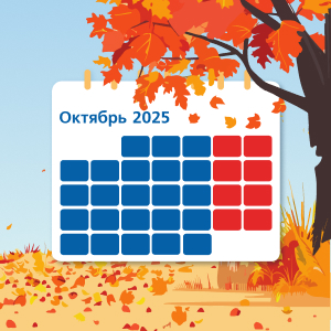 Инфографика