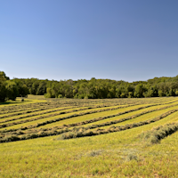 ��������� ���� ������������� ��� ������� ��� ������� ����� ���������� ��-������