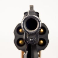 Владельцев газовых пистолетов могут избавить от обязанности ходить на стрельбище при переоформлении лицензии