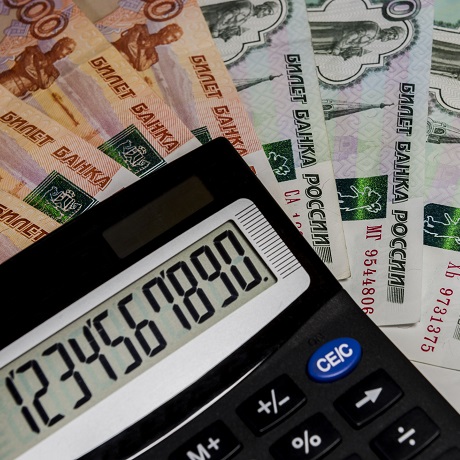 До 20 апреля Правительство РФ проверит правильность формирования зарплат работников бюджетной сферы