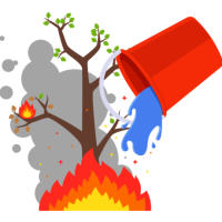 Появились новые правила тушения лесных пожаров