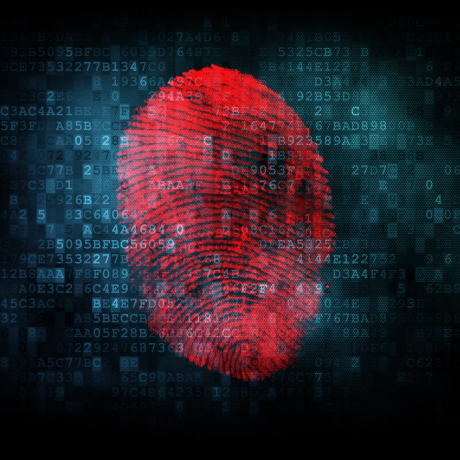 ������ �������� ���� ����������� ��������� ������������ �������� �� 2024-2025 ����