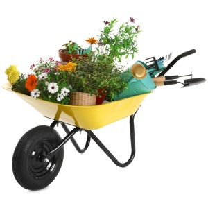 Аналитические статьи