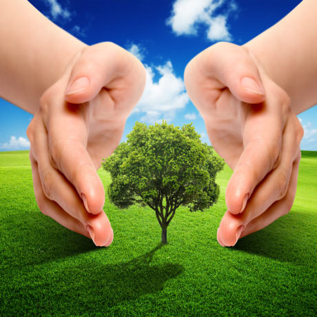  1  2022              ,      