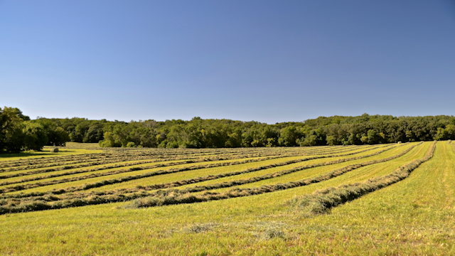 ��������� ���� ������������� ��� ������� ��� ������� ����� ���������� ��-������