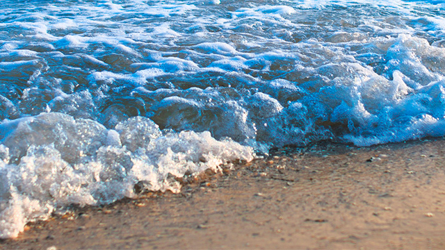 ������ �� ��������� ������ ������ ������ �������� �������� � 15 �������