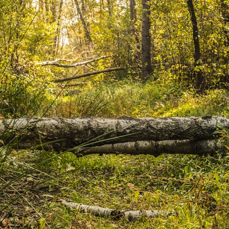 �� ���������� ���� �������� ������ �������� �������� �������� ��� ������ ����