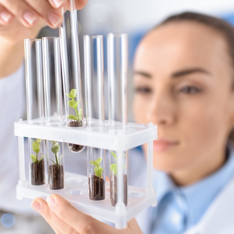 ���������������� ������ �� ��������� ���������������� �� ������������� ���������� ����� ��������