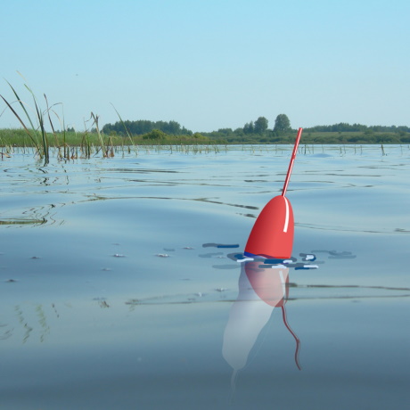 ��������� �������� ���������� ���������, ������������ ��������������� ��� �������� ����� � ��