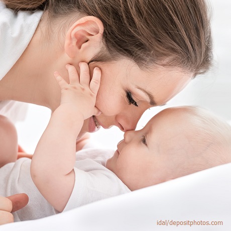 ������ �� ������� ������������: ���, �����, ������ ������ �������