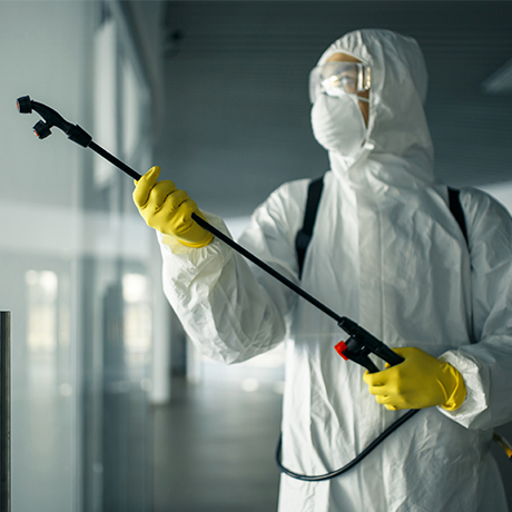 Роспотребнадзор выпустил методичку по проведению дезинфекции объектов