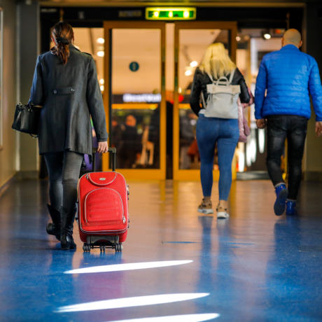   ,      - COVID-19    ,    