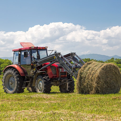 Статус создаваемых в форме юрлица фермерских хозяйств урегулировали в законе