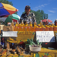 В России могут сохранить сельскохозяйственные рынки под открытым небом