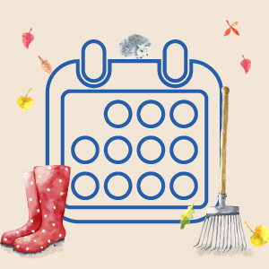 Профессиональный календарь на октябрь 2019 года