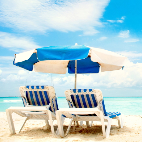 ����� �� ������: ���������� �������� ������� 2024 ����