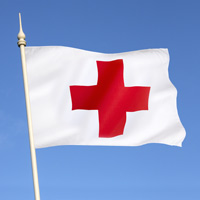 Предлагается законодательно определить правовое положение, полномочия и функции Российского Красного Креста