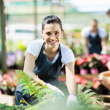 ������� ��������� �������� �������� ����������� ��� ������ �����