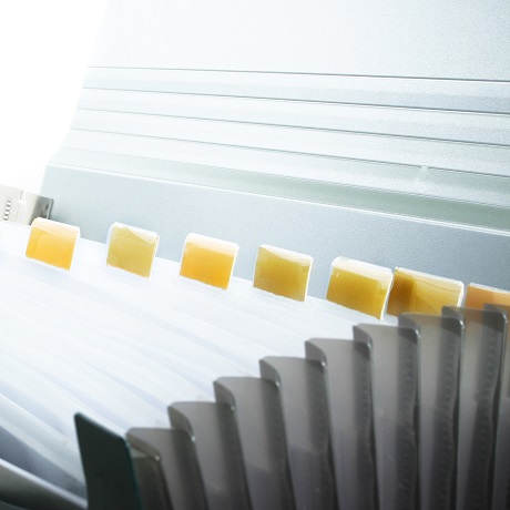 ������������� �� ��������� ��������� �������� ���������� ����� ������