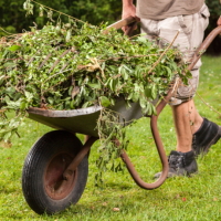 �������� � ������ ����� ������������ ���������� �������� �����������