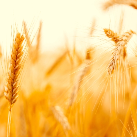 ������� �� ���������������� � ������������ ������������ ����� ��������� � �������������� ����������� ������