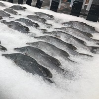ВС РФ: глазированную мороженую рыбу вразвес нужно продавать без учета веса ледяной глазури