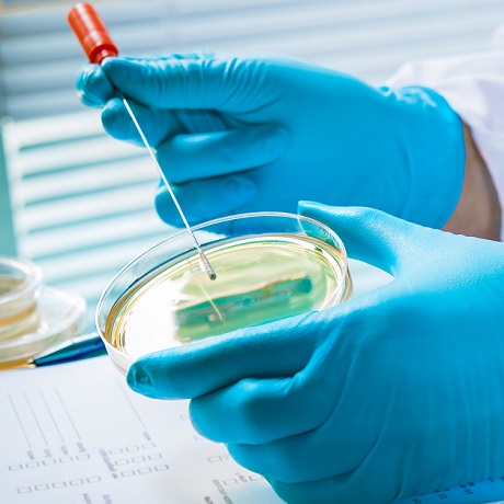 ���� vs �������������: ��������� ������