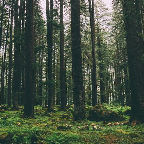 ������������ ���������� ��������������� �� �������� �������� � ��������� �����