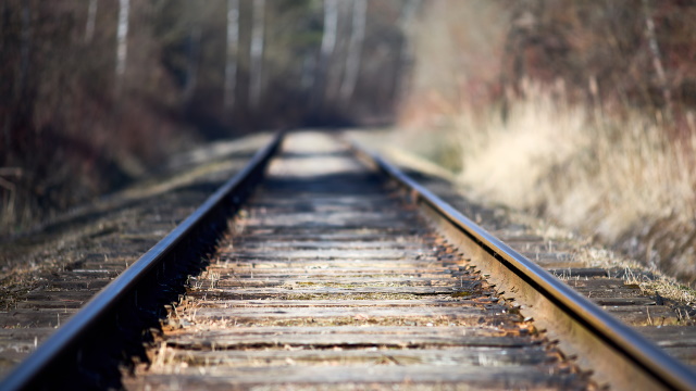 ����������� ������ �� ��������������� ����� ��������� ���������� �������������