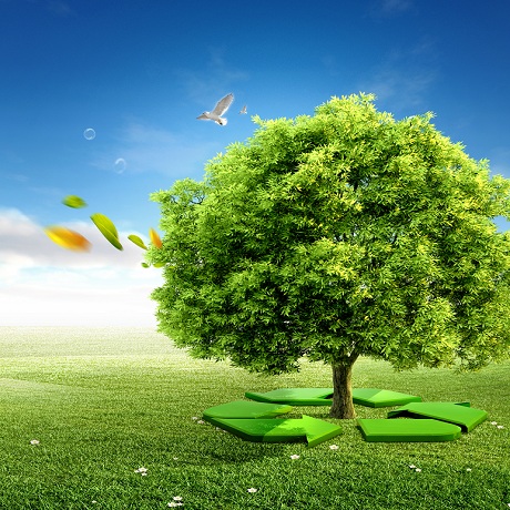 � ���� ���� ������ ����� �� ���� ��� ���������� ��� IV ������ ��������� ���������� �� �����