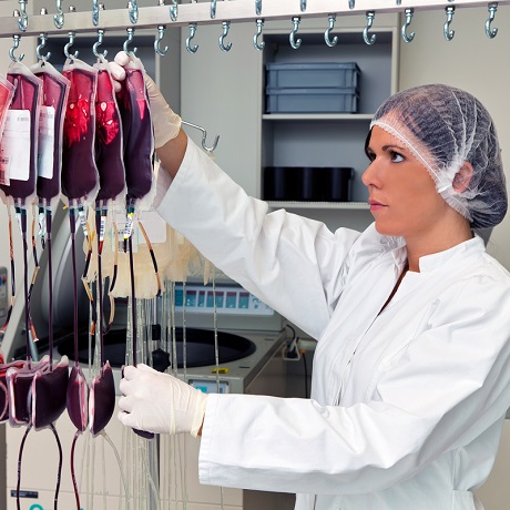 13 нормативных актов о безопасности донорской крови, исполнение которых проверит ФМБА