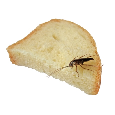 ���������������� ��������������� �� ��������� � ����� ����������� ������������� ������� ����� ����������������