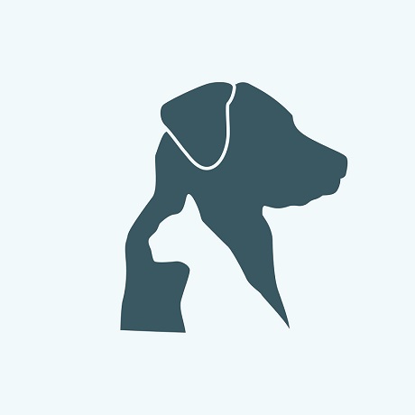 ������������ ������ ���������� ������� ���������� �������� � �������� ��������� � ���������