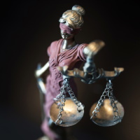 �� �� ��������� �������� "amicus curiae"