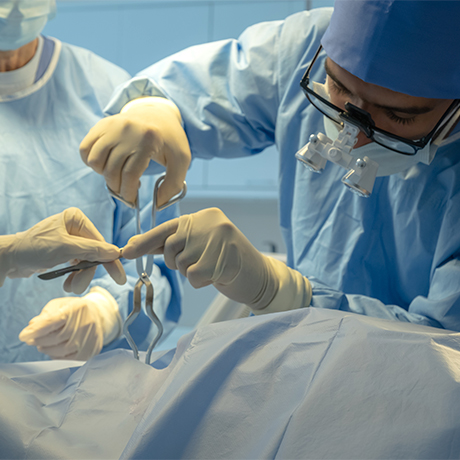 �������� ������ ������� ��������� ������� ������� � �������� ��������������