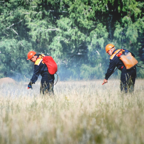 ������ ���������� ����� ������� ��������� ������� ����� �������