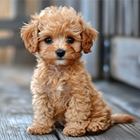 ������� �������� �������� ����� 130 ���. � ��������� �������� �� ������� ������