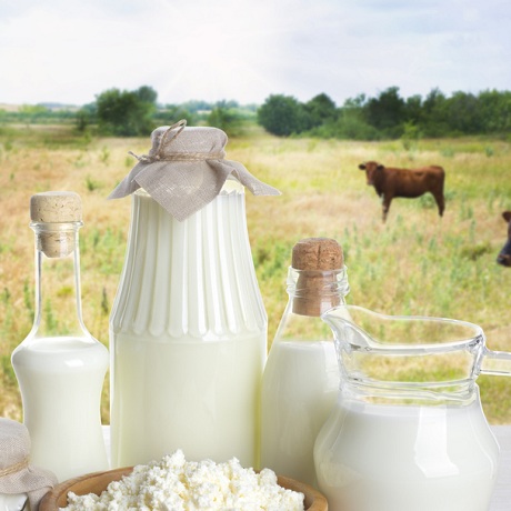 �� ���������, ��� ���������������� ��������������� �� ��������� ���������� ���������� ������������ ���������������� ���������� ��������