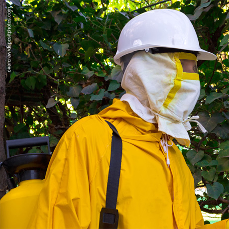 �������� ������: ����������� ��� ������������ �� �����