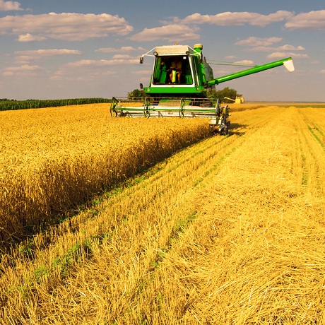 Муниципалитеты могут установить любой размер налогового вычета по земельному налогу