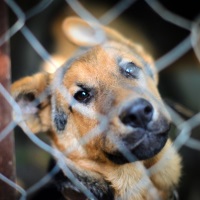 �� �������� ����������� � ���������� � ������ ��� �������� ����� ������ ������